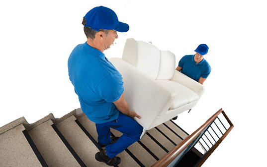 ŞEHİR İÇİ TAŞIMACILIK